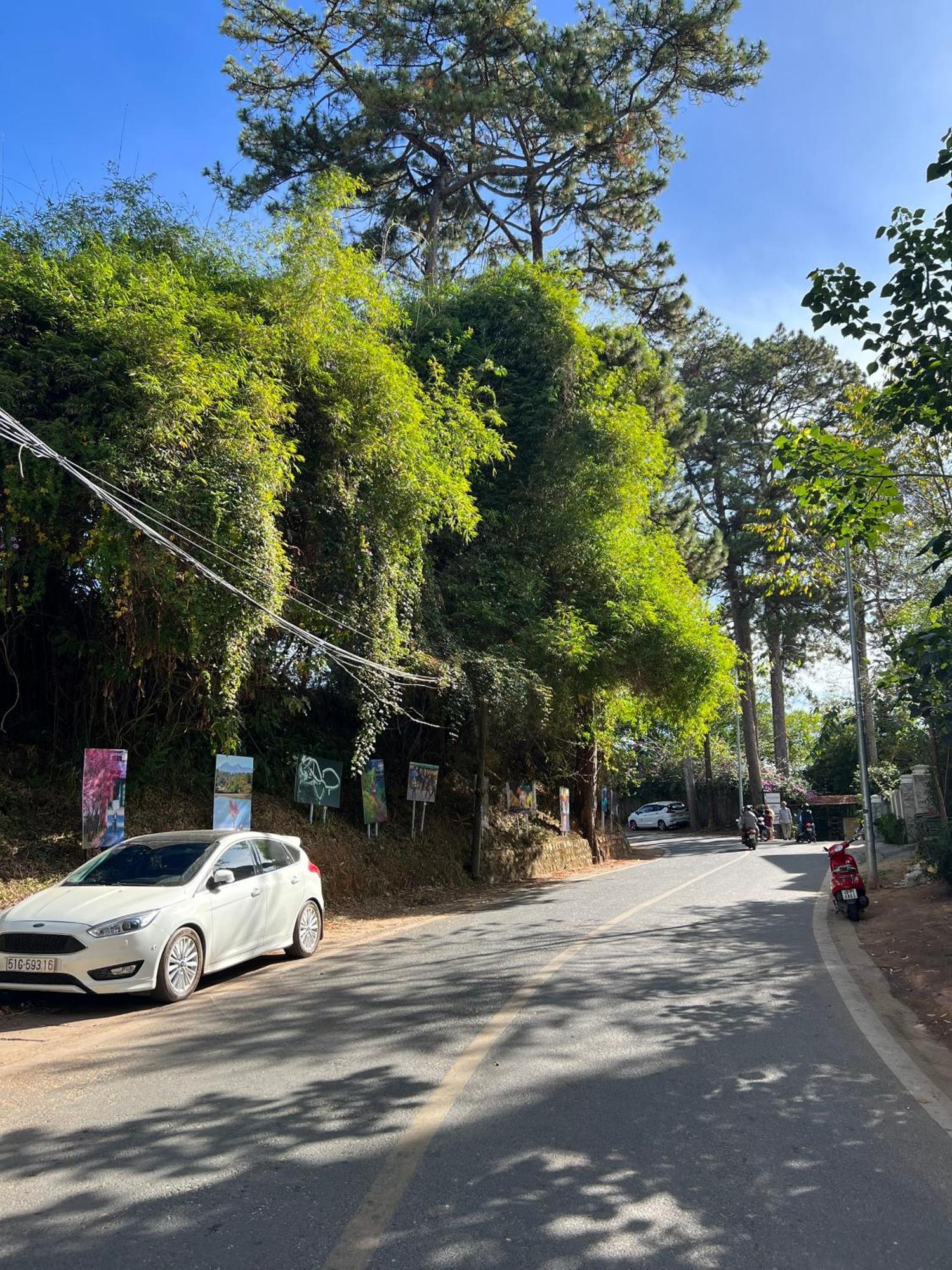 Nature Hotel - Dalat 3 Exteriör bild